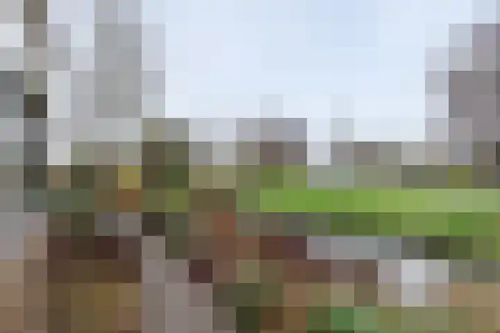 Hazelaarhof 35 Papendrecht thumbnail 32
