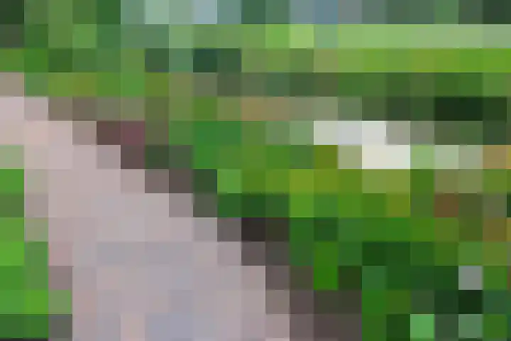Hazelaarhof 35 Papendrecht thumbnail 33