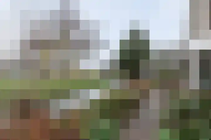 Hazelaarhof 35 Papendrecht thumbnail 34