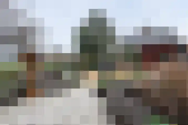 Hazelaarhof 35 Papendrecht thumbnail 4