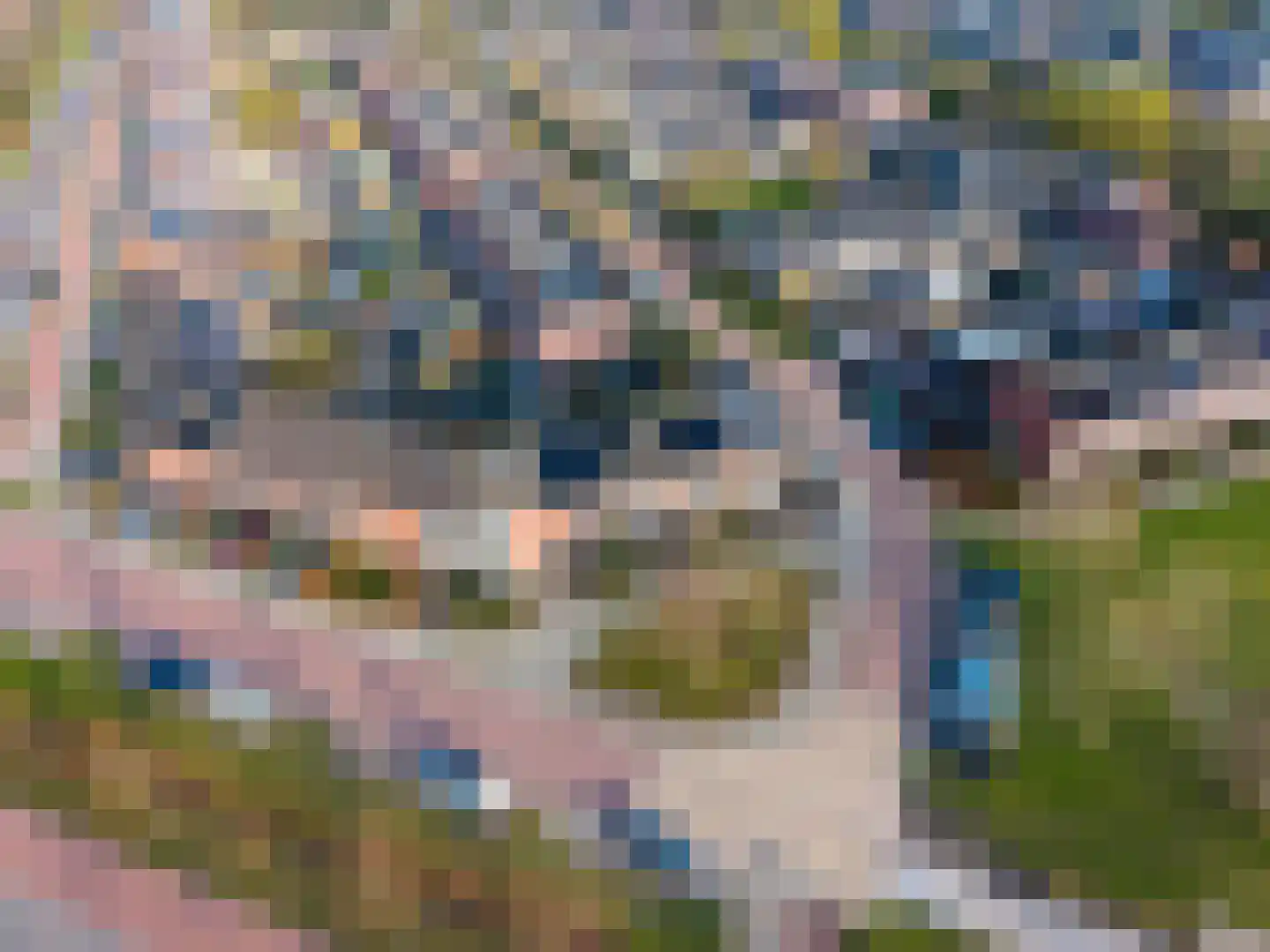 Hazelaarhof 46 Assen thumbnail 11