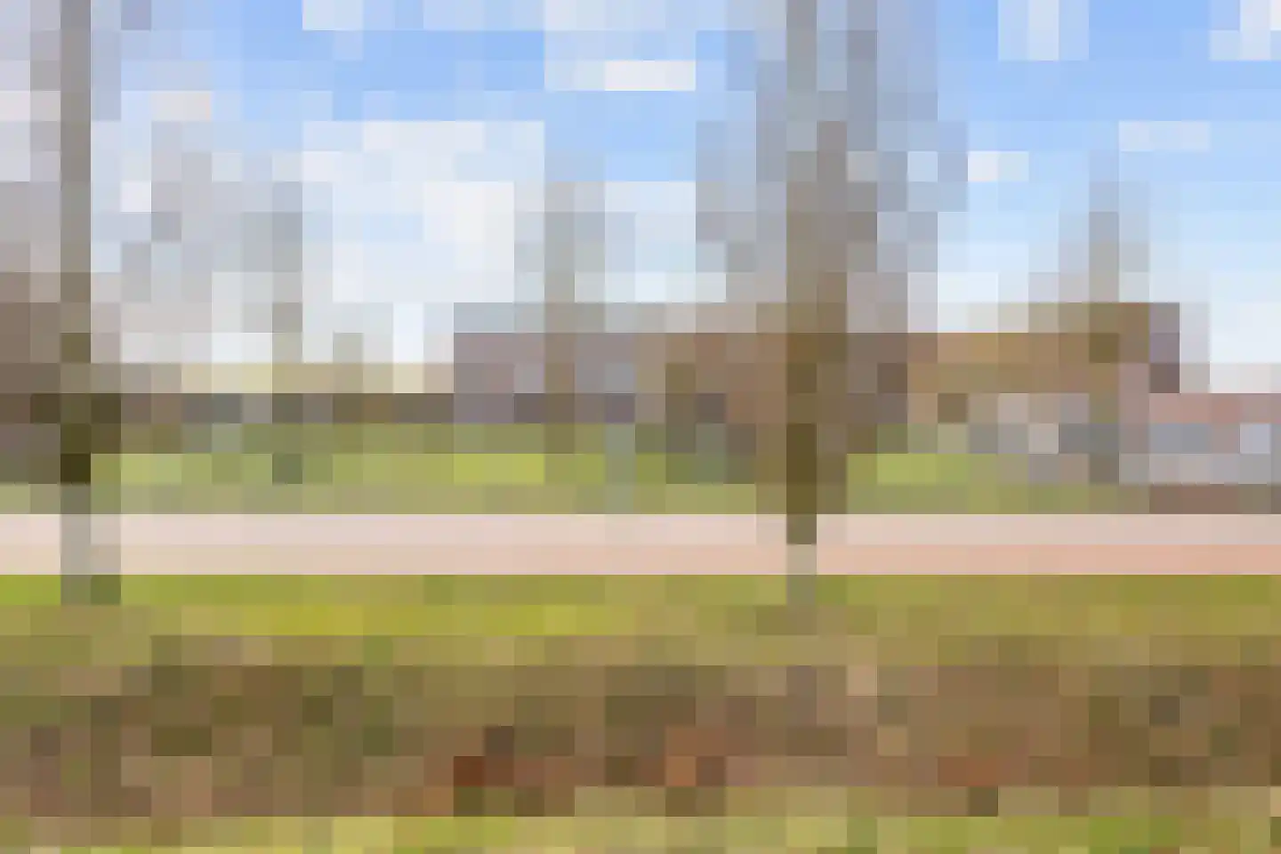 Hazelaarhof 46 Assen thumbnail 14