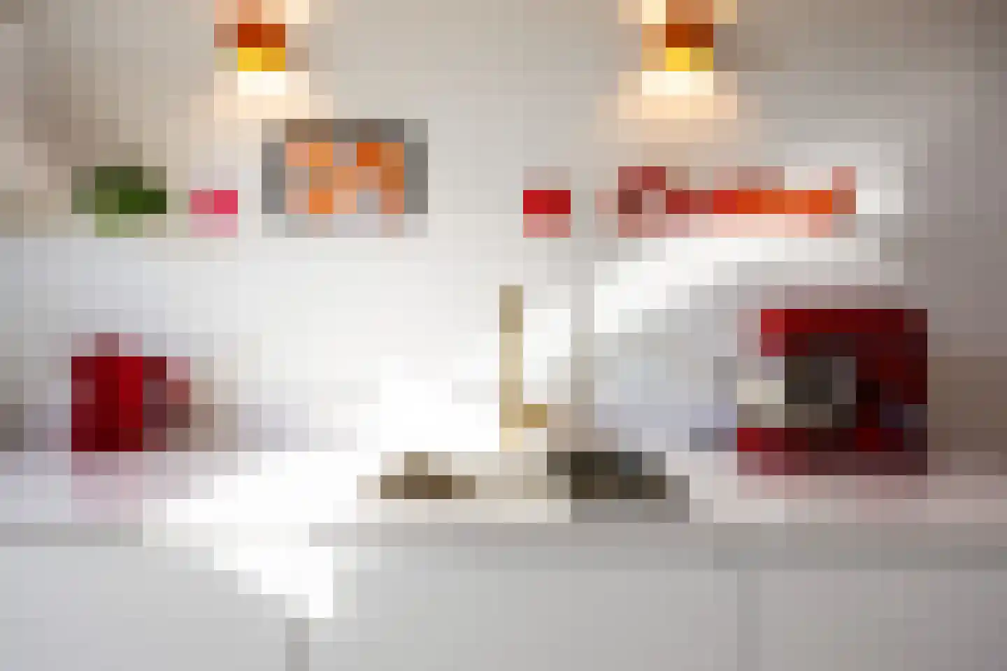 Hazelaarhof 46 Assen thumbnail 32