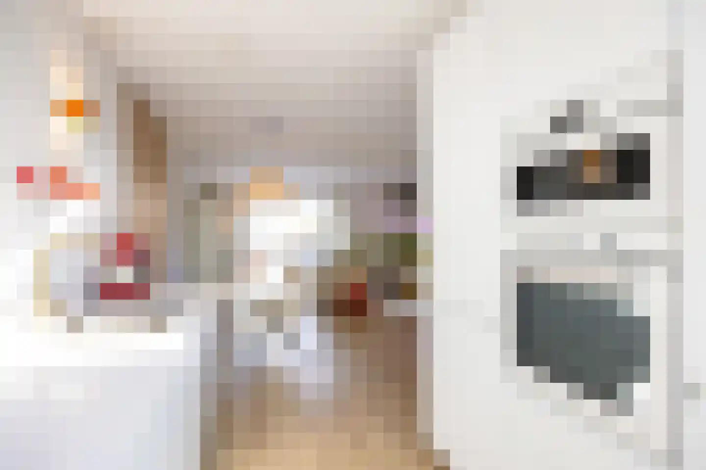 Hazelaarhof 46 Assen thumbnail 33