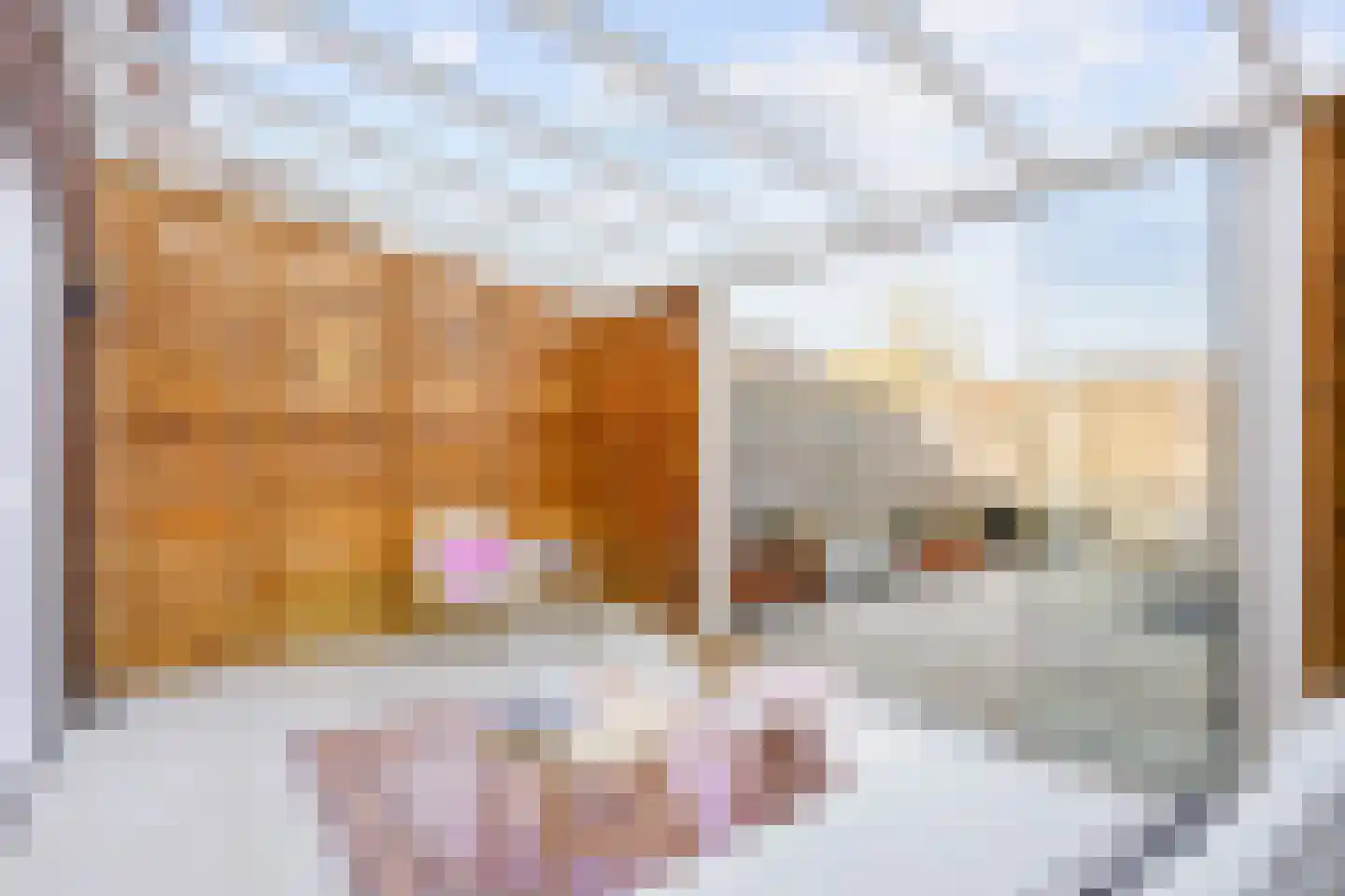 Hazelaarhof 46 Assen thumbnail 38