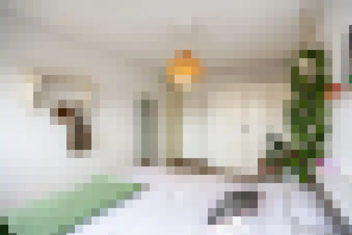 Hazelaarhof 46 Assen thumbnail 42