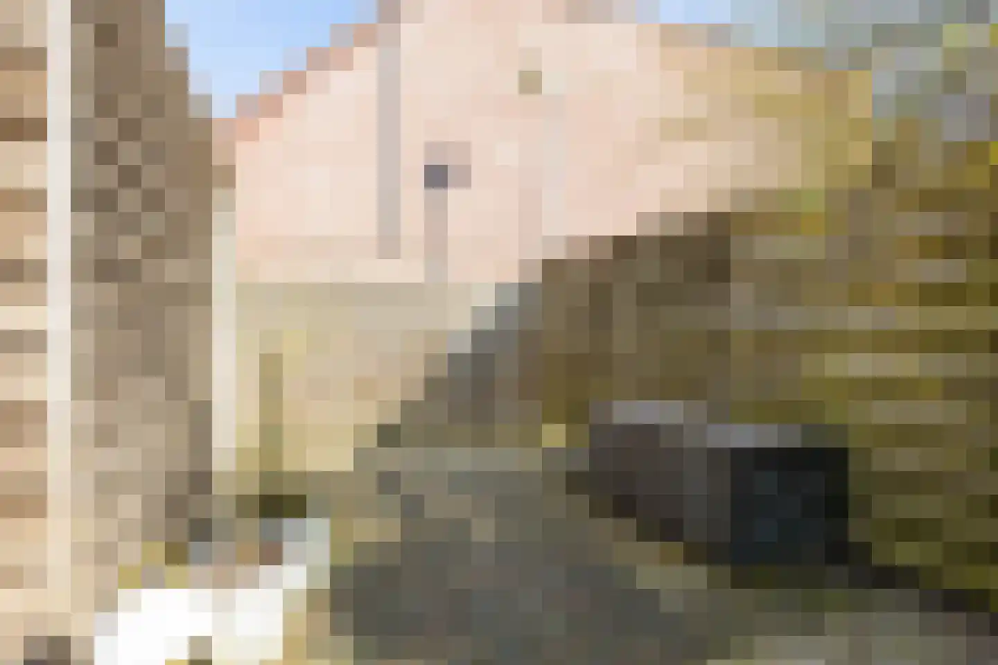 Hazelaarhof 46 Assen thumbnail 56