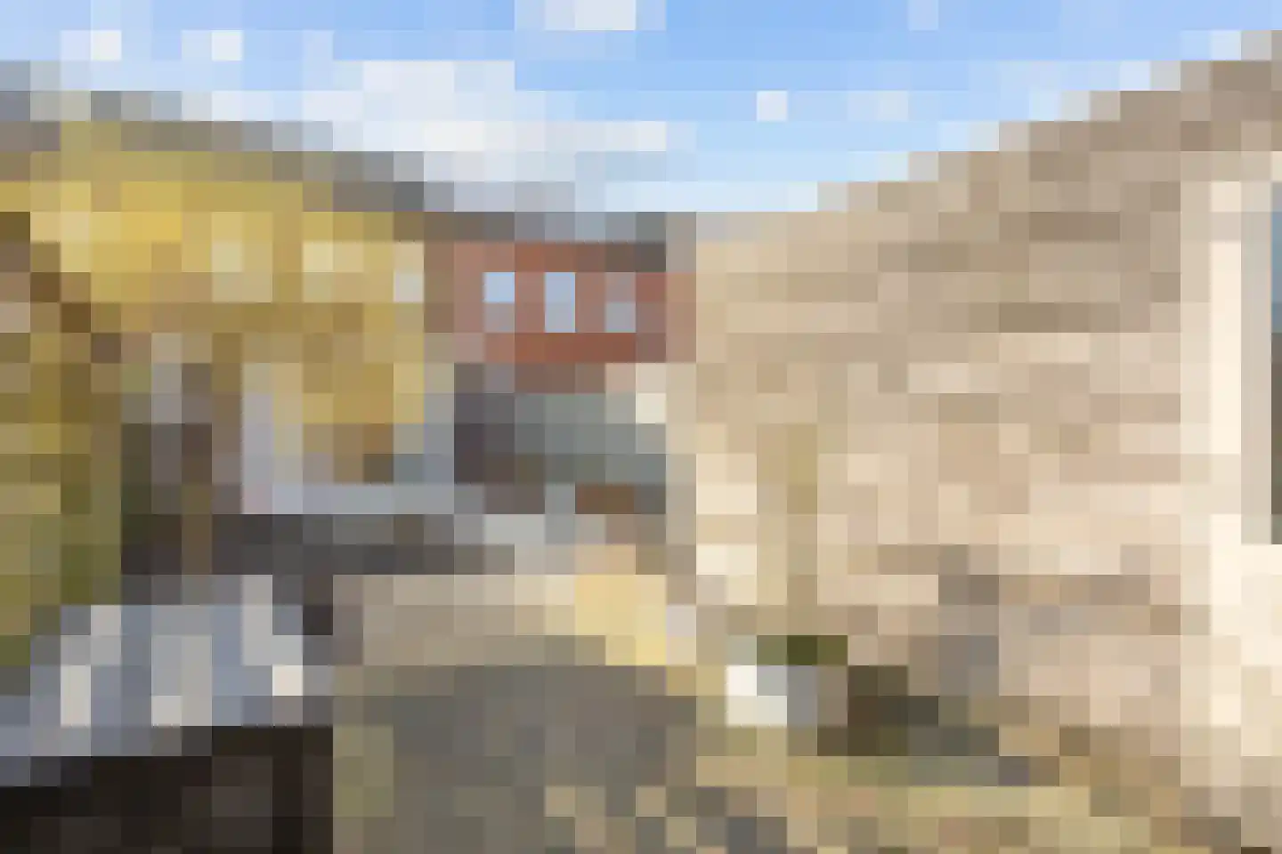 Hazelaarhof 46 Assen thumbnail 58