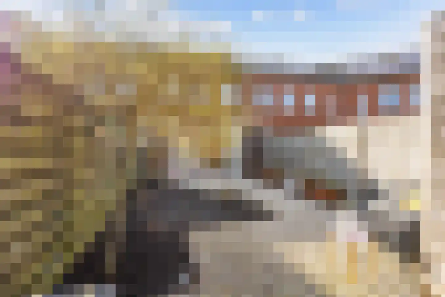Hazelaarhof 46 Assen thumbnail 59