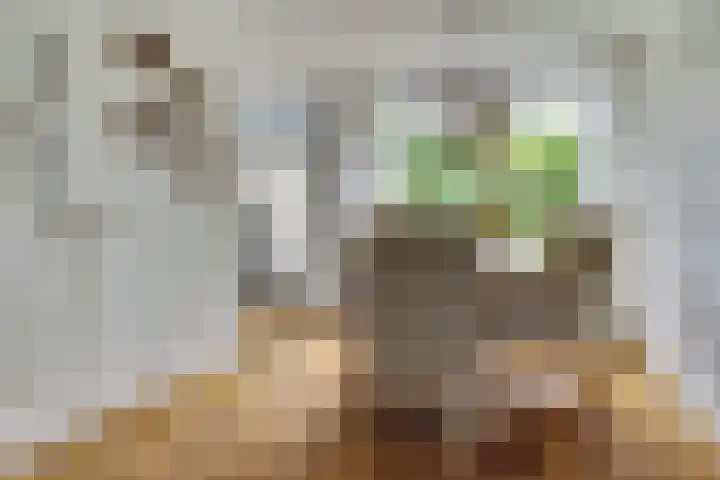 Hazelaarhof 49 Dieren thumbnail 12