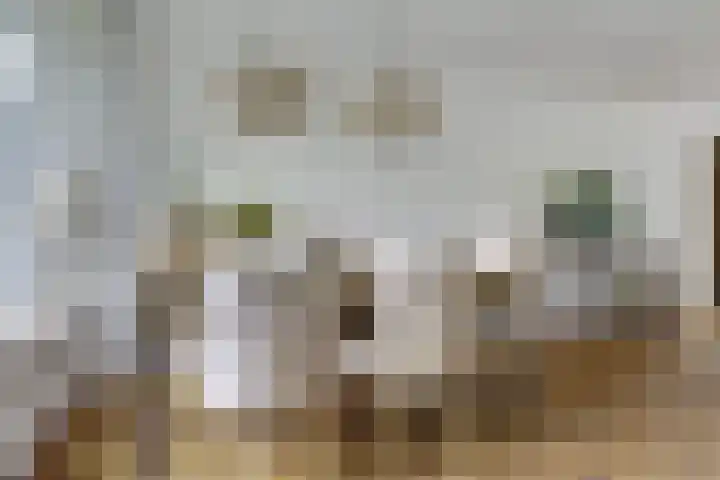 Hazelaarhof 49 Dieren thumbnail 13
