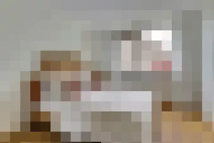 Hazelaarhof 49 Dieren thumbnail 16