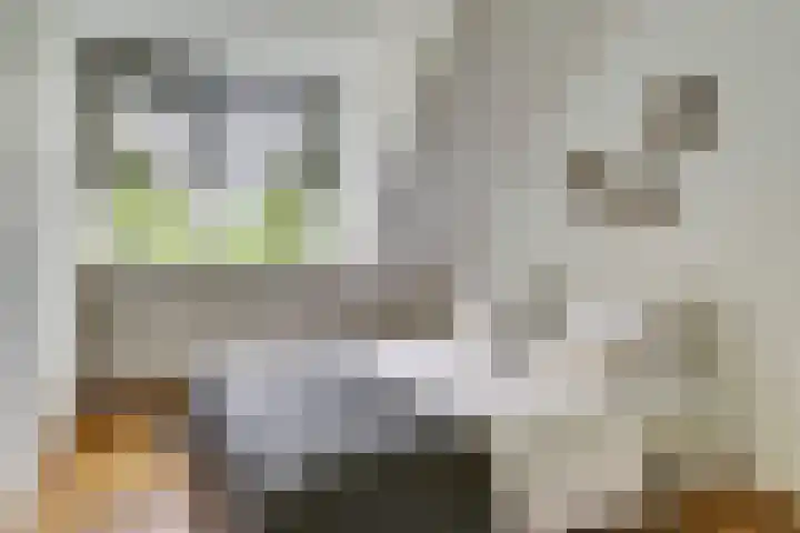 Hazelaarhof 49 Dieren thumbnail 18