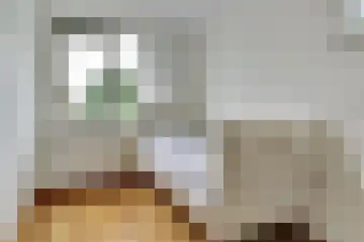 Hazelaarhof 49 Dieren thumbnail 20