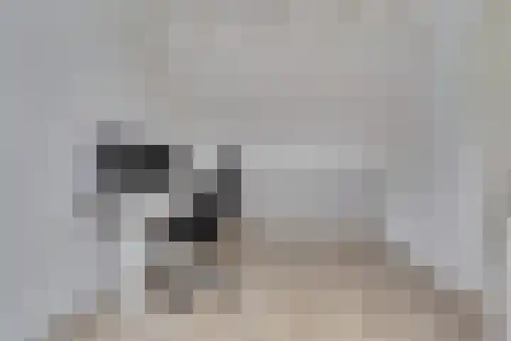 Hazelaarhof 49 Dieren thumbnail 25