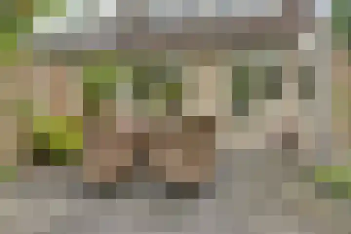 Hazelaarhof 49 Dieren thumbnail 27