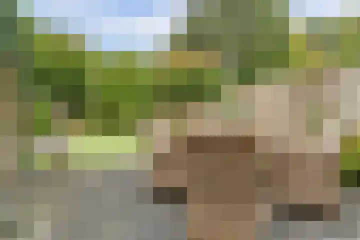 Hazelaarhof 49 Dieren thumbnail 28