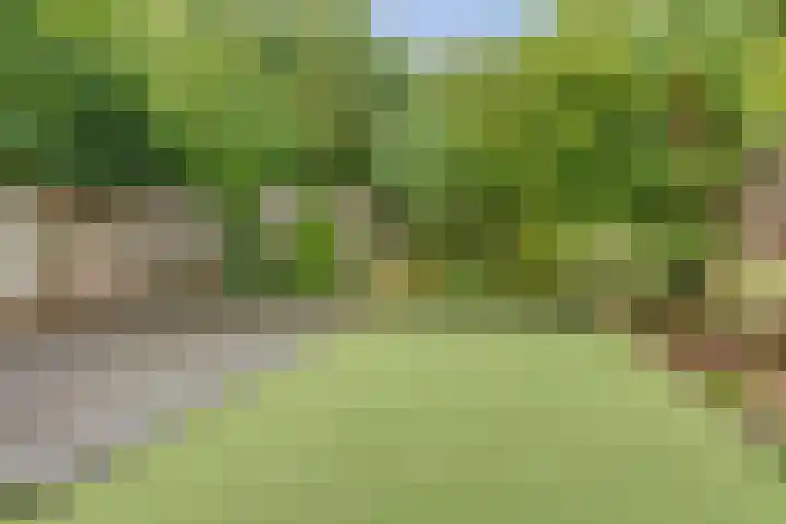 Hazelaarhof 49 Dieren thumbnail 29