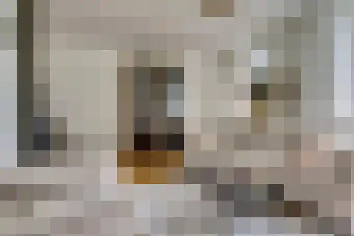 Hazelaarhof 49 Dieren thumbnail 8