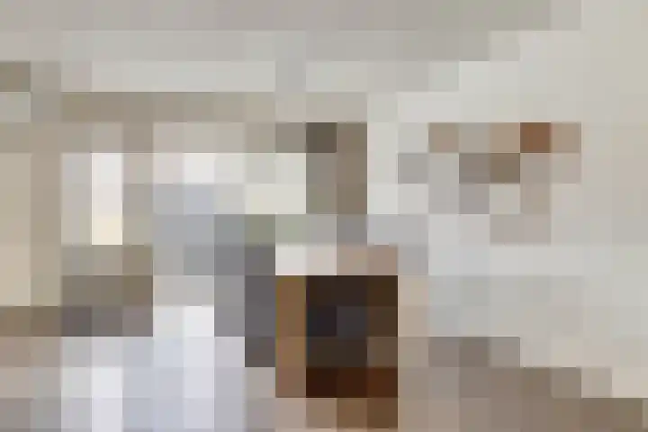 Hazelaarhof 63 Assen thumbnail 10