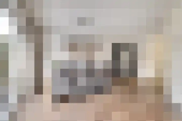 Hazelaarhof 63 Assen thumbnail 12