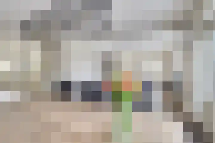 Hazelaarhof 63 Assen thumbnail 13