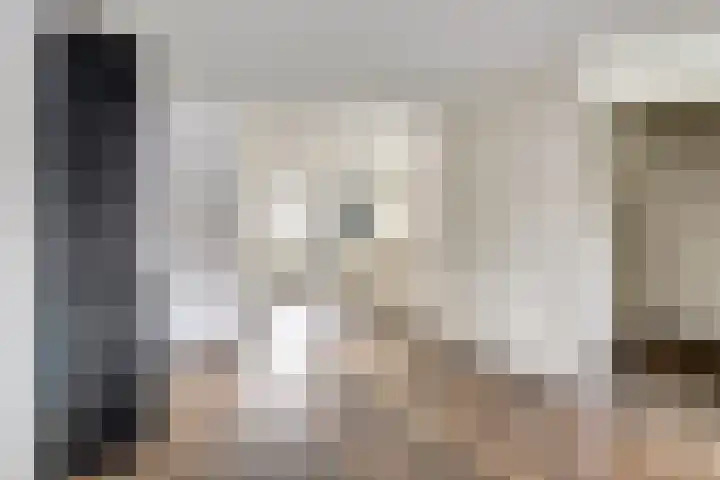 Hazelaarhof 63 Assen thumbnail 15