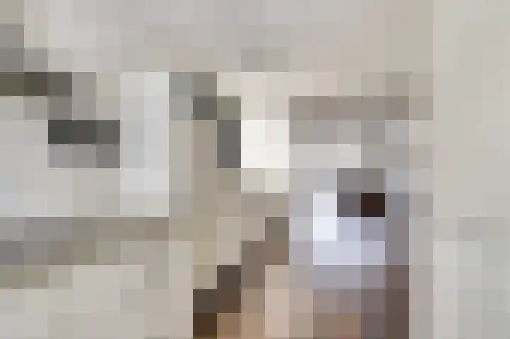 Hazelaarhof 63 Assen thumbnail 18