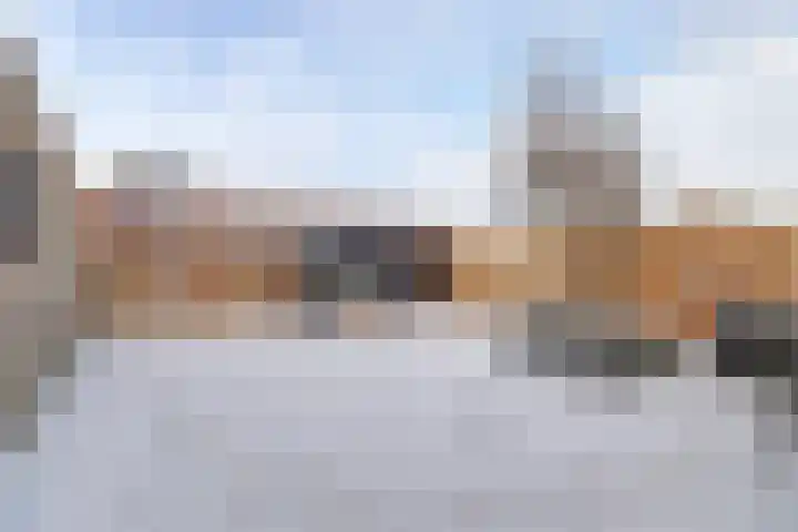 Hazelaarhof 63 Assen thumbnail 30