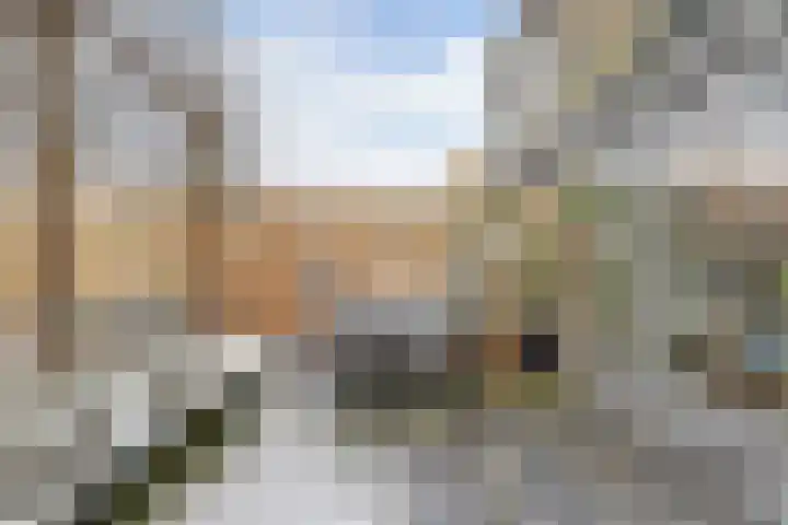 Hazelaarhof 63 Assen thumbnail 33