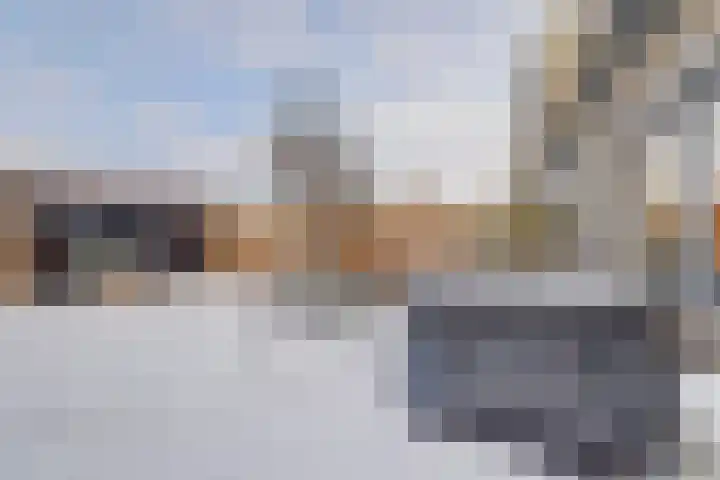 Hazelaarhof 63 Assen thumbnail 34