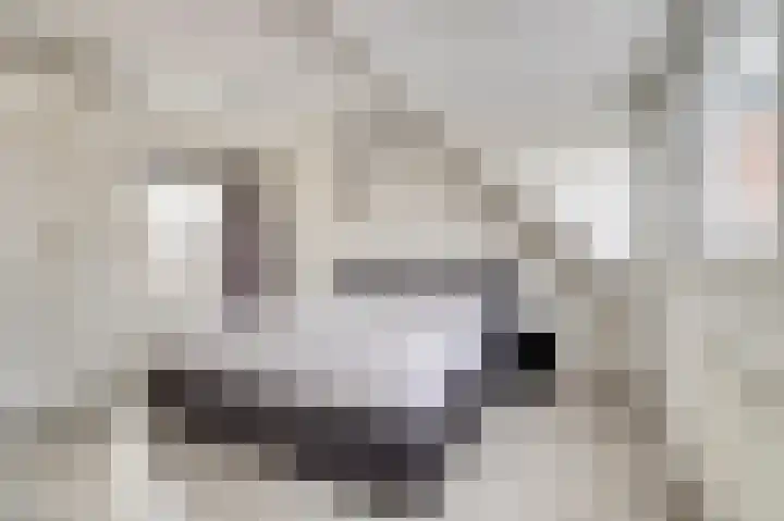 Hazelaarhof 63 Assen thumbnail 4