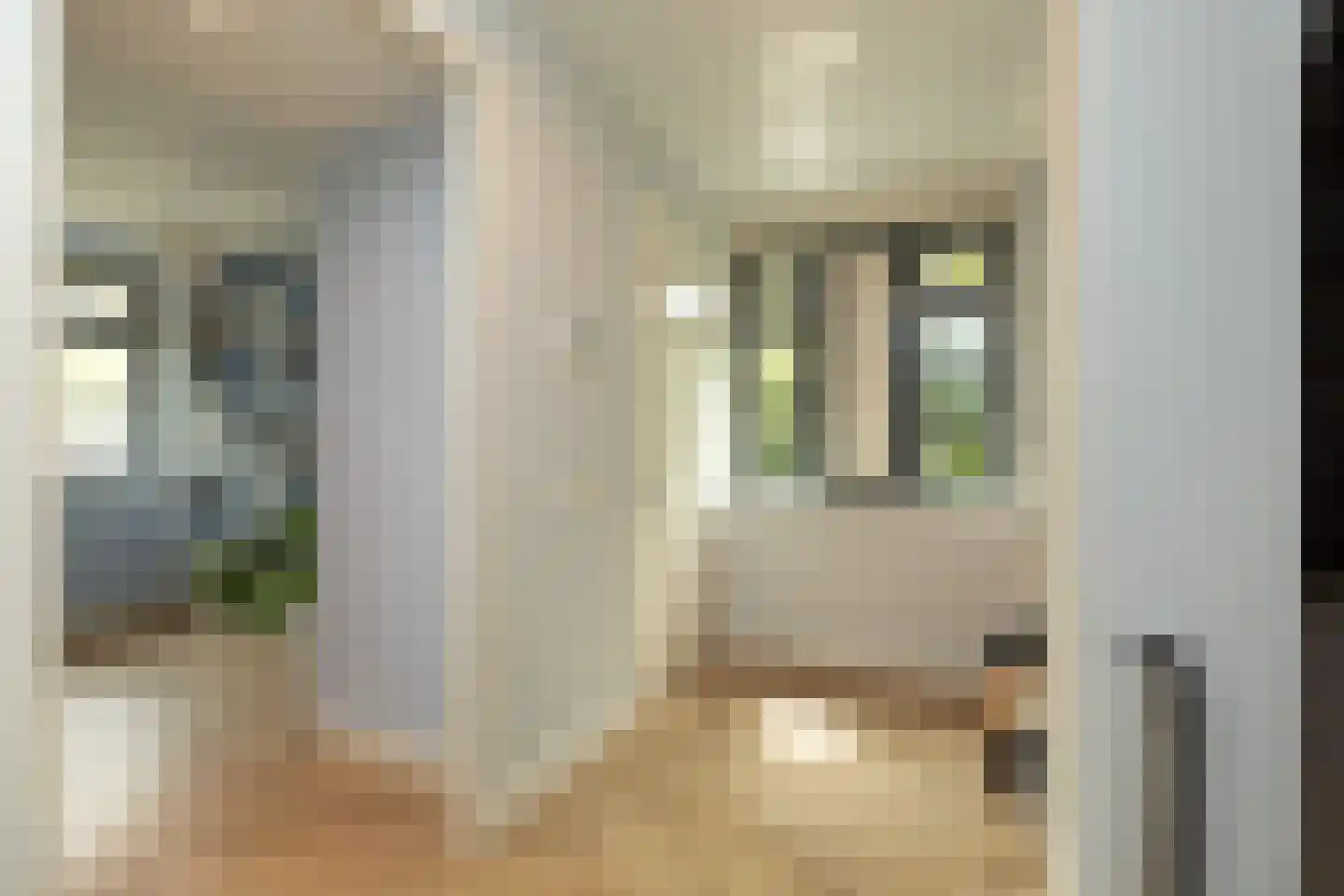 Hazelaarhof 7 Baarn thumbnail 21