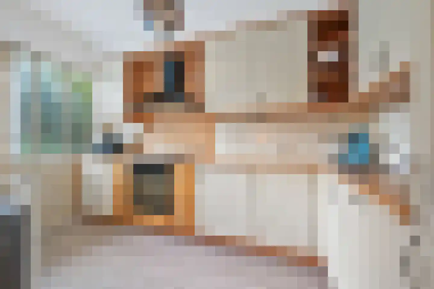 Hazelaarhof 9 Nootdorp thumbnail 13