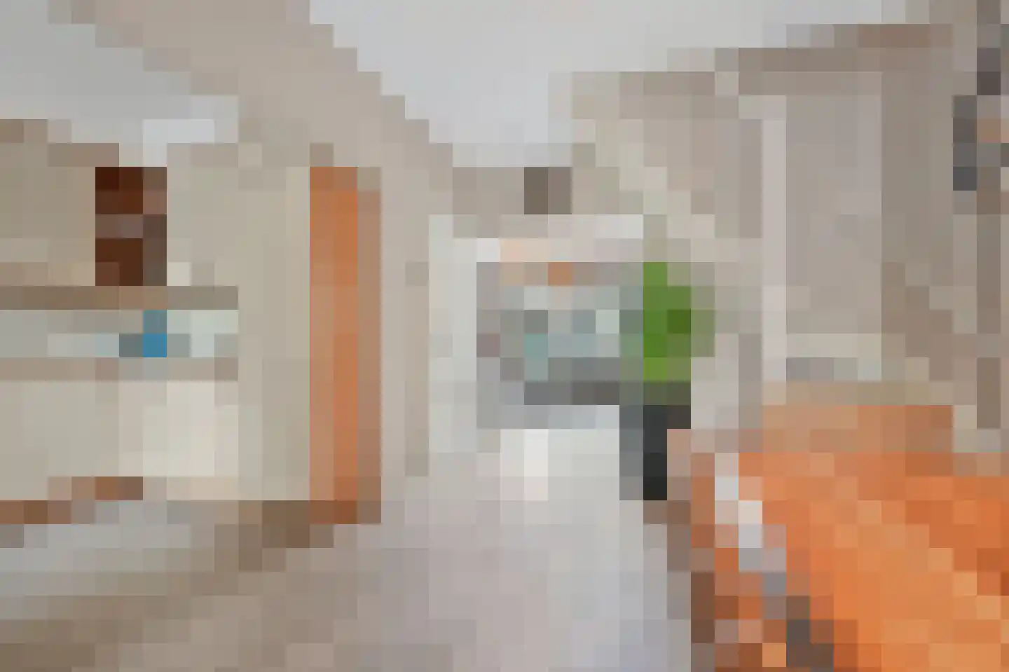Hazelaarhof 9 Nootdorp thumbnail 15