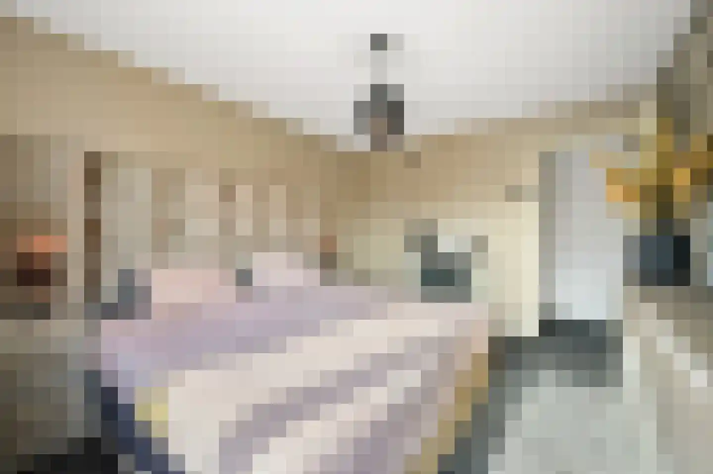 Hazelaarhof 9 Nootdorp thumbnail 18