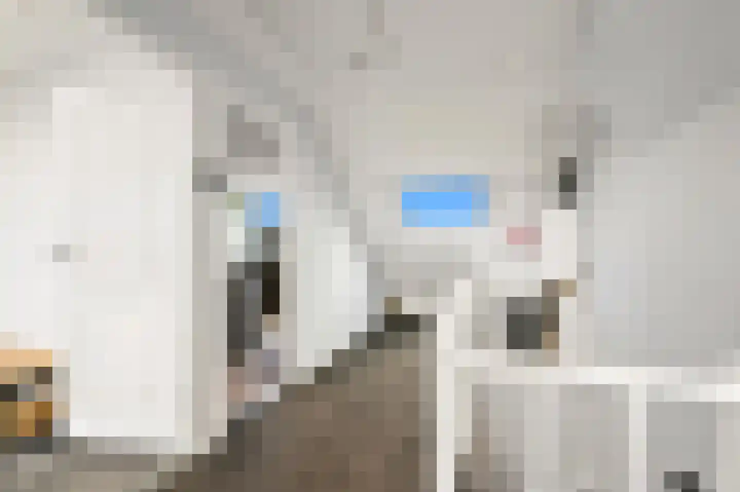 Hazelaarhof 9 Nootdorp thumbnail 26