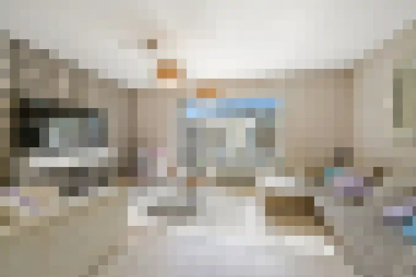 Hazelaarhof 9 Nootdorp thumbnail 7