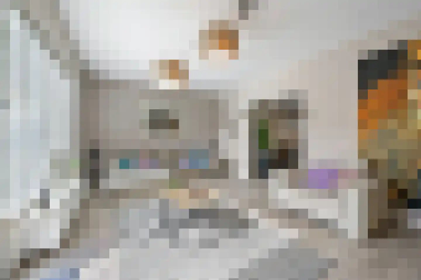 Hazelaarhof 9 Nootdorp thumbnail 8