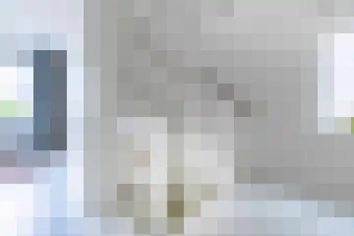 Hazelaarhoven 20 Maastricht thumbnail 19