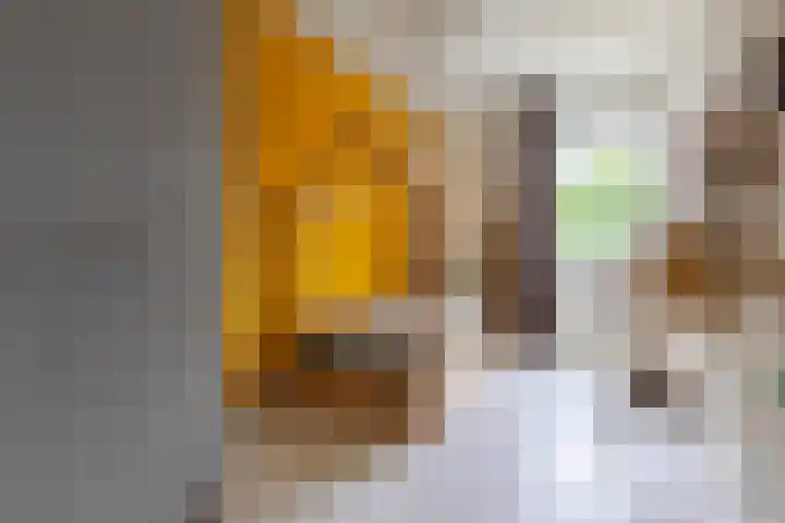 Hazelaarhoven 20 Maastricht thumbnail 21