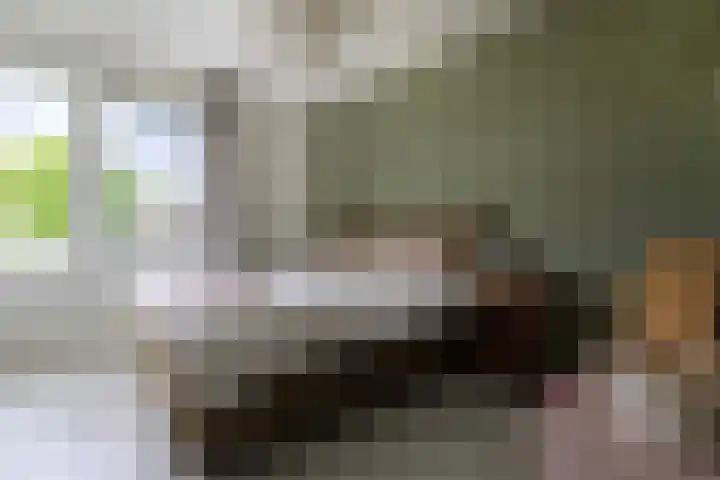 Hazelaarhoven 20 Maastricht thumbnail 22