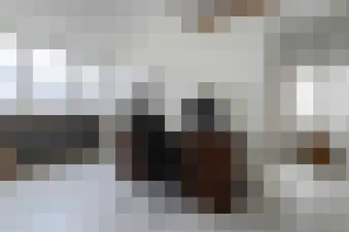 Hazelaarhoven 20 Maastricht thumbnail 31