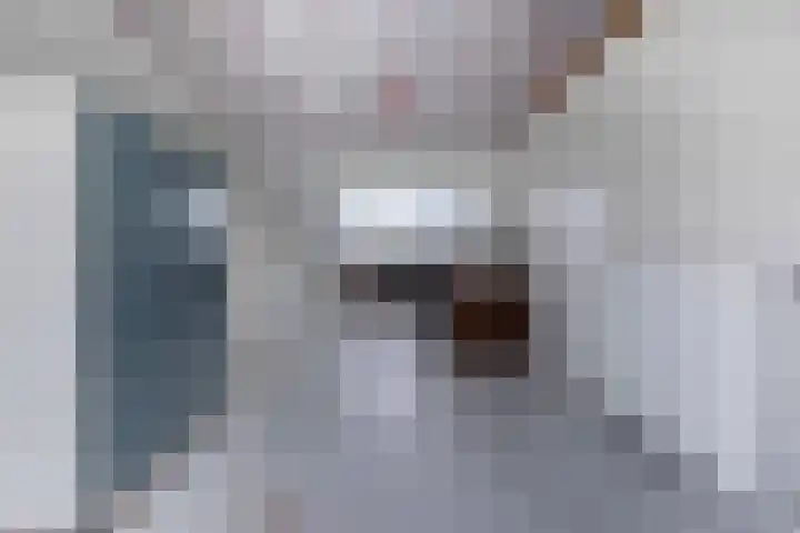 Hazelaarhoven 20 Maastricht thumbnail 33