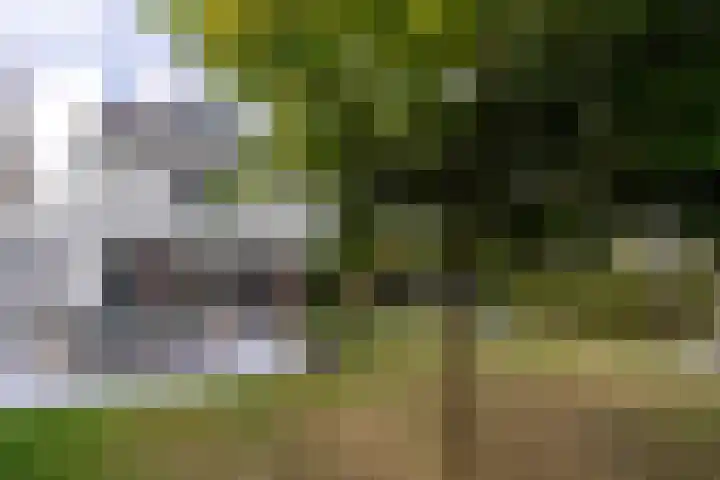 Hazelaarhoven 20 Maastricht thumbnail 40