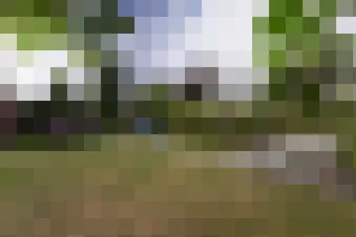 Hazelaarhoven 20 Maastricht thumbnail 41
