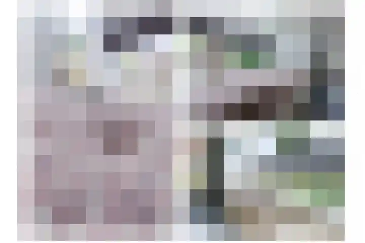 Hazelaarhoven 20 Maastricht thumbnail 8