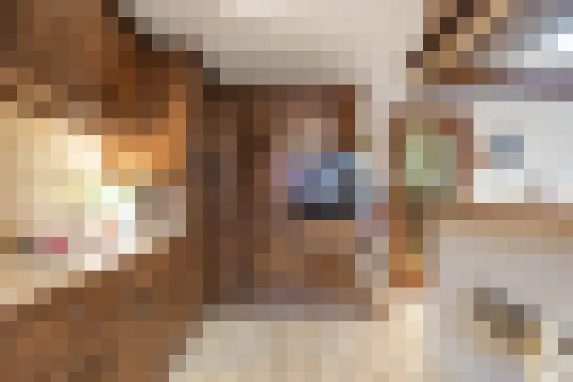 Hazelaarlaan 18 Putte thumbnail 15