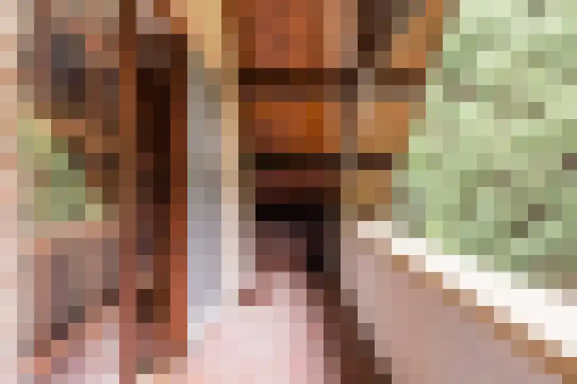 Hazelaarlaan 18 Putte thumbnail 29