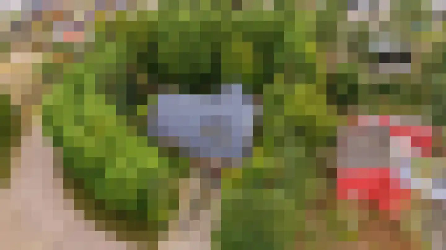 Hazelaarlaan 18 Putte foto 3
